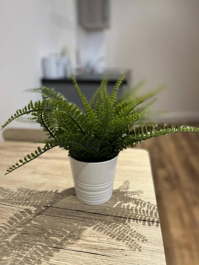 Sublime Stays Webberley Stylish Studio Stoke City Centre 外观 照片